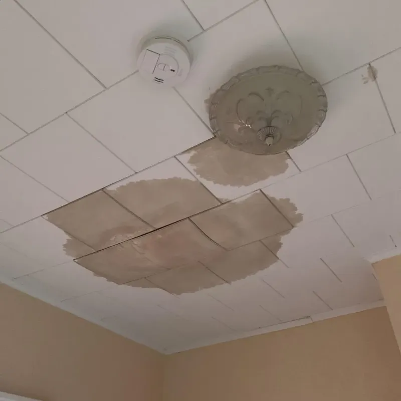 Ceiling Water Damage Repair in Roane County, WV