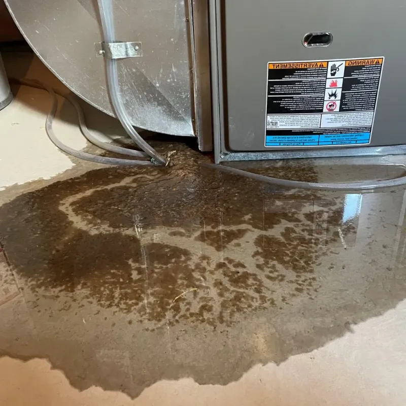 Pipe Burst and Leak Restoration in Roane County, WV