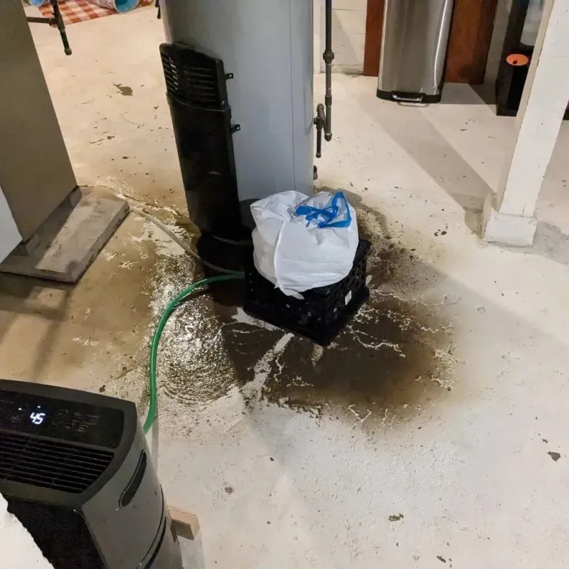 Sewage Backup Cleanup Service in Roane County, WV